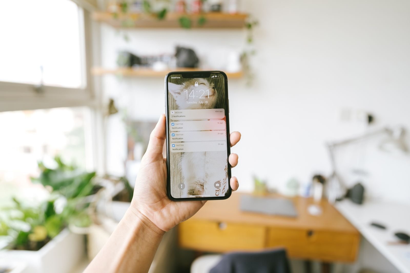 Creating a free SmartPips account on a phone to unlock the forex signal feed